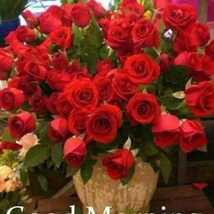 Meet your Posher, Varshana